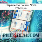 Africa Black Ant Capsule kamagra1